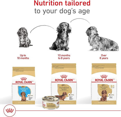Royal Canin Breed Health Nutrition Dachshund Adult Loaf in Sauce Dog Food, 3 oz (Pack of 6)