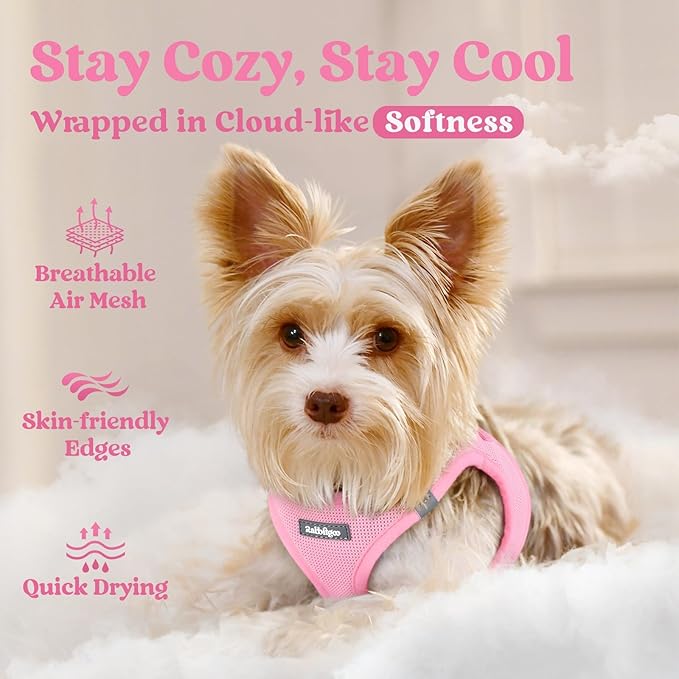 rabbitgoo Small Dog Harness, Step-in Soft Mesh Puppy Vest with Safety Buckle, Breathable Reflective Pet Harness for Small Medium Dogs, Light Pink L