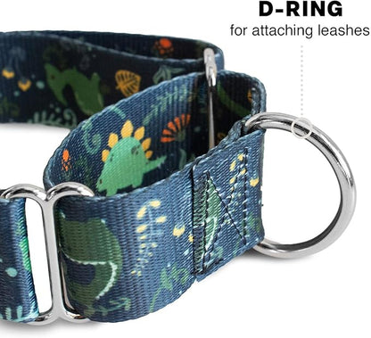 Downtown Pet Supply - Martingale Collar for Dogs - Dog Training Collar - Big, Wide & Thick Dog Collar - Escape-Proof, Weatherproof, Durable and Comfortable - Dino - Medium Dog Collar