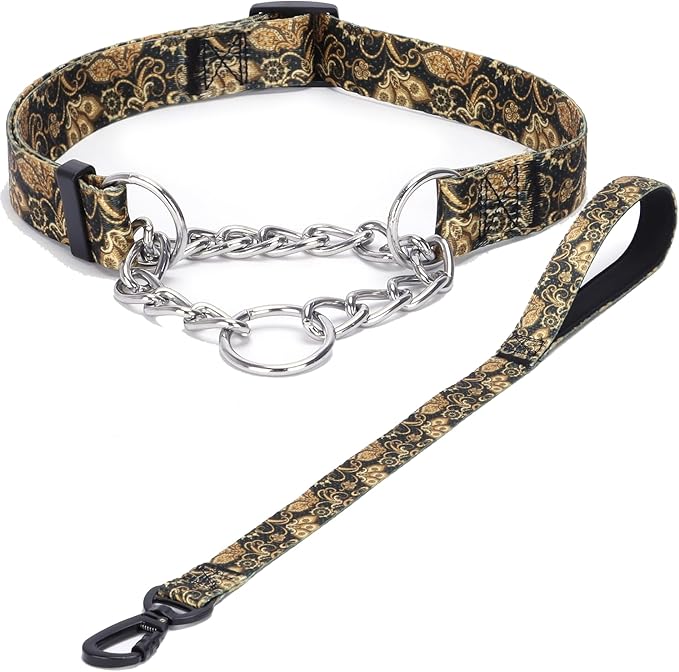 Martingale Dog Collar and Leash Set, Stainless Steel Chain, No Pull Training Collar with Flower Design, for Small, Medium, Large Dogs (NO32, S)