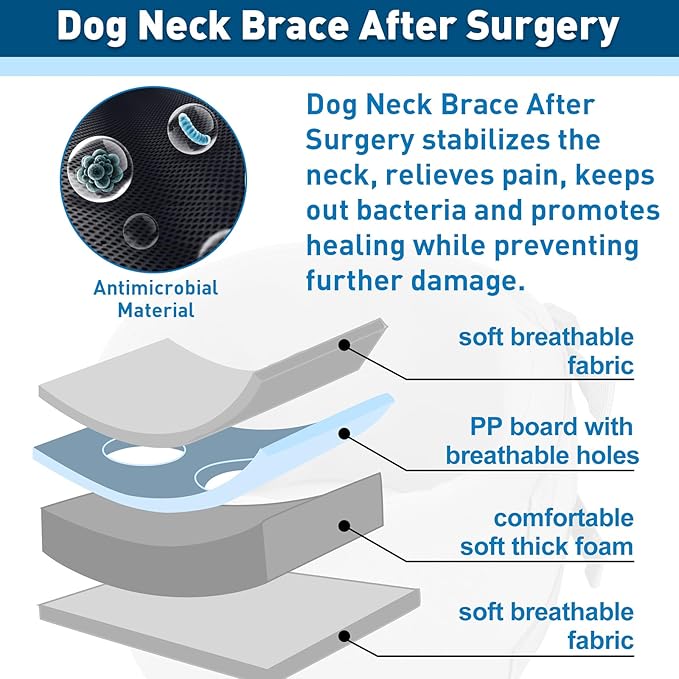 ETIAL Dog Neck Brace After Surgery, Breathable Dog Protective Collar to Prevent Pets from Anti-Bite Lick Wound Healing, E-Collar & Cone Collar Alternative for Small Medium Large Dogs (Blue, M)