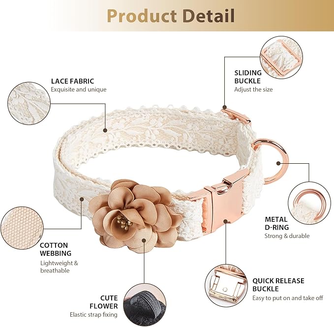 Beige Dog Collar and Leash Set Adjustable Lace Dog Collar for Large Dogs with Flowers & Rose Gold Metal Clasp for Pet Wedding Birthday Outfit,L