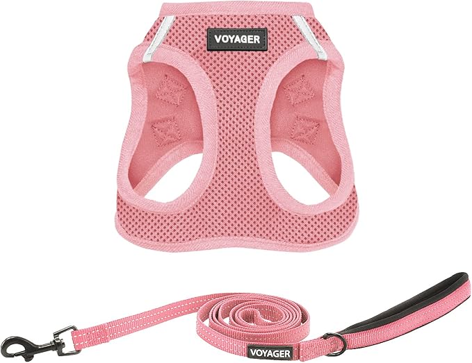 Best Pet Supplies Voyager Step-in Air All Weather Mesh Harness and Reflective Dog 5ft Leash Combo with Neoprene Handle, for Small, Medium and Large Breed Puppies - Set (Pink), Small