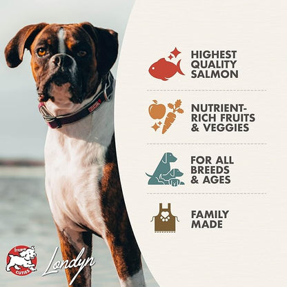 Fromm Four-Star Nutritionals Salmon A La Veg Dog Food - Premium Dry Dog Food - Salmon Recipe - 4 lb