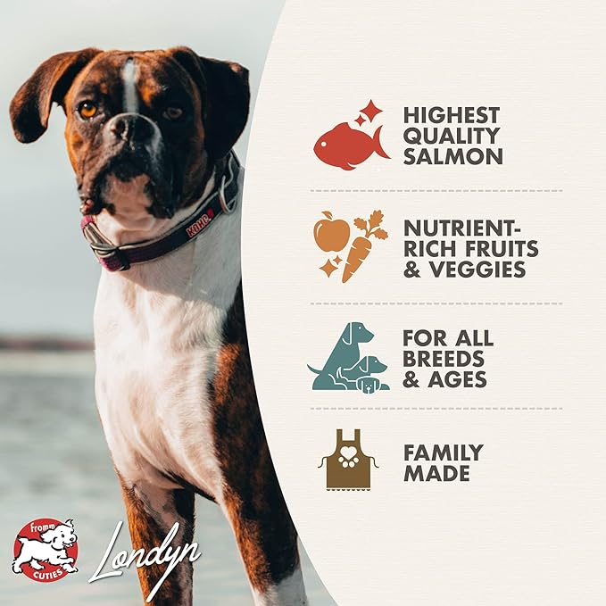 Fromm Four-Star Nutritionals Salmon A La Veg Dog Food - Premium Dry Dog Food - Salmon Recipe - 12 lb