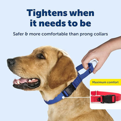 PetSafe Adjustable Martingale Collar - Improves Leash Manners - Escape Prevention - Gentle Behavior Training - Durable Nylon - Alternative to Choke Collar - Petite 3/8" - Raspberry Pink