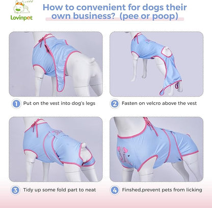 LovinPet Dog Recovery Suit for Large Medium Dogs - Bodysuit Onesie for Shedding Skin Disease Pet Pajamas Dog Anti Licking for Abdominal Wound After Surgery,Elephant,Blue,XXL