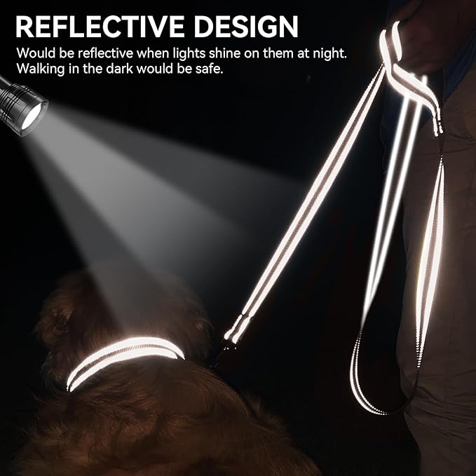 Joytale Double-Sided Reflective Dog Leash, 6 FT/5 FT/4 FT, Padded Handle Nylon Heavy Duty Leashes for Medium & Large Dogs Walking, Brown, 5FT