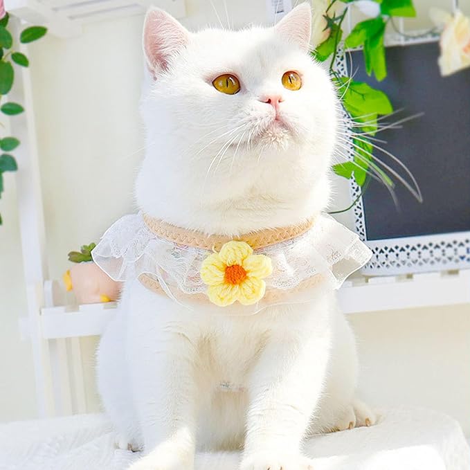 Cat Harness Collar and Leash Set, Sweet Lace Floral Kitten Collar, Escape Proof Puppy Chest Harness, Adjustable Cute Harness Leash Set for Cat Puppy Dog Outdoor Walking (Yellow, M)