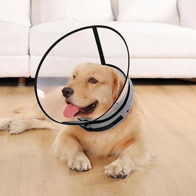 Sponge Core Dog Cone, Inflatable Dog Cone Collar Alternative, Dogs Donut Collar After Surgery, Soft Cone for Large Medium Small Dogs to Stop Licking, No Inflation Required, Clear View(Size 7, Gray)