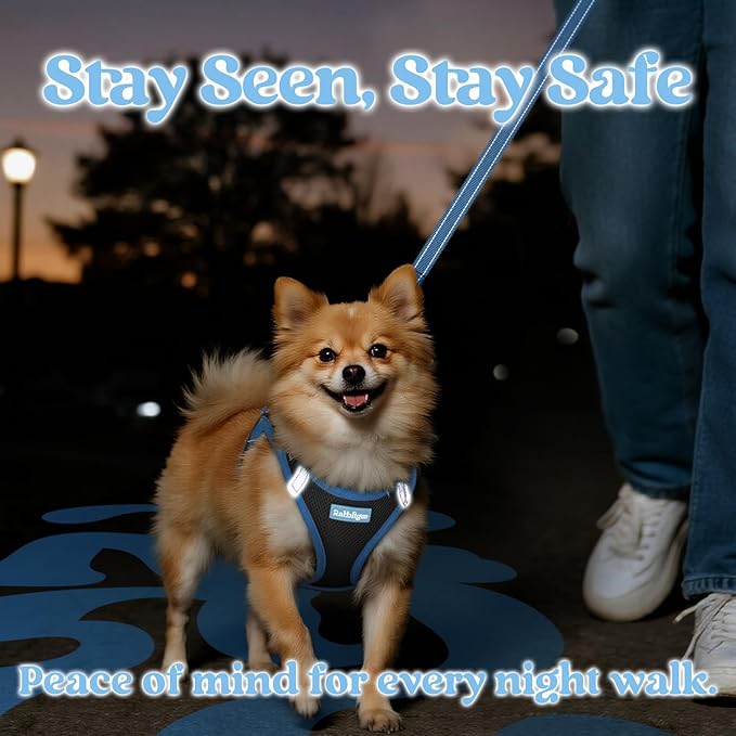 rabbitgoo Dog Harness Small Sized and Leash Set, Step-in Breathable Pet Harness, Soft Walking Reflective Puppy Vest for Small Dogs, Black & Light Blue, XS