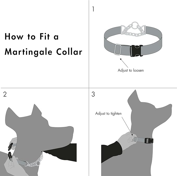 Friends Forever Martingale Collars for Dogs, Reflective No Pull Dog Collar for Training Large/Medium Breed Dogs, Medium