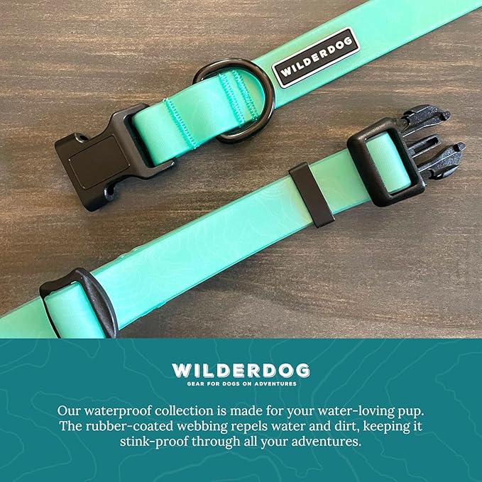 Wilderdog Waterproof Dog Collar - Repels Water & Dirt - Large 17"-24" - Seafoam
