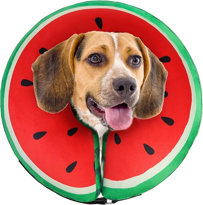 SCENEREAL Dog Cone Alternative After Surgery Donut Collar, Soft Pet Recovery Pillow Collar for Medium Large Dogs, Inflatable Adjustable Neck Collars to Prevent Licking, Watermelon L