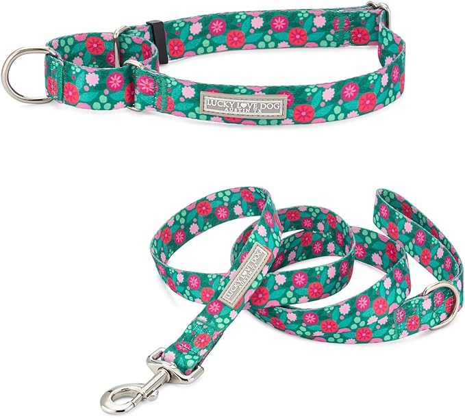 Lucky Love Dog Martingale Dog Collar & Leash - Adjustable, No-Slip, Durable, Comfortable, Soft Webbing, & Stylish Patterned Collar & Leash Set for Male and Female Dogs - Penny Combo, Small