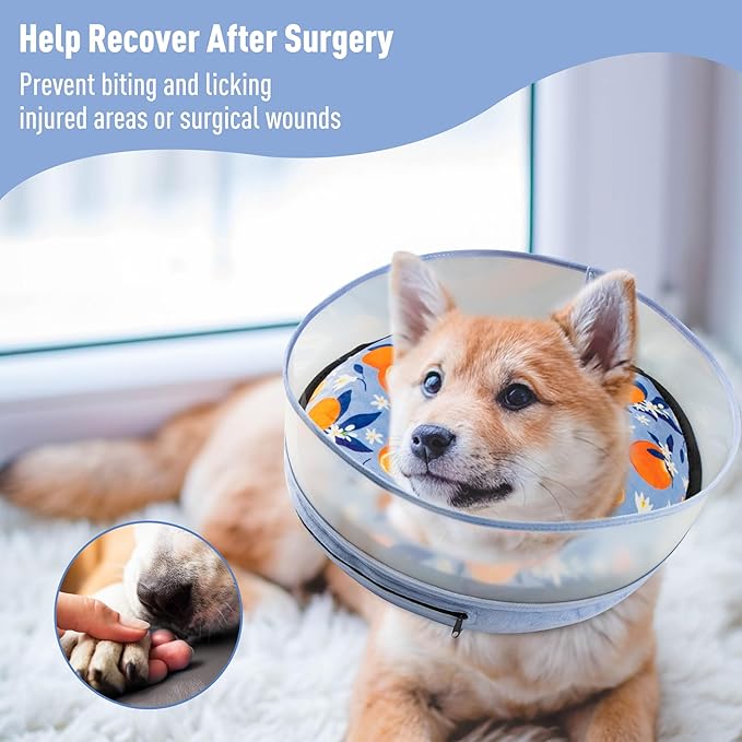 Inflatable Dog Cone, Soft Dog Cone Collar After Surgery for Alternative with Enhanced Anti-Licking Guard Shield Adjustable Detachable, Elizabethan Collar (XL, Orange)