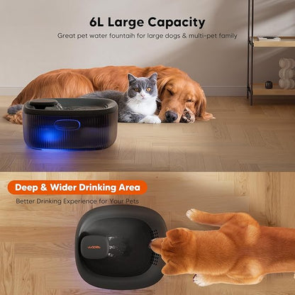 WOPET Dog Water Fountain for Large Dogs, 6L/205oz/1.7Gal Automatic Dog and Cat Water Fountain, Pet Water Dispenser with 6 Filters, Ultra-Quiet Pump, Great for Large Dogs Cats and Multi-Pet Home