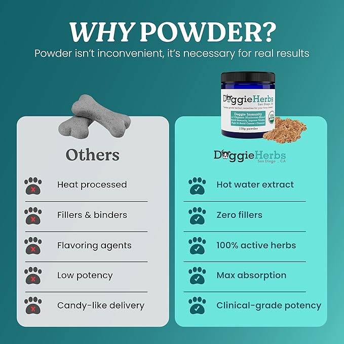 High Potency Immune Support – Critical Care Formula with Turkey Tail, Reishi & TCM Mushrooms + Herbs – Doctor Formulated Powder for Recovery, Vitality & Cellular Health 100g