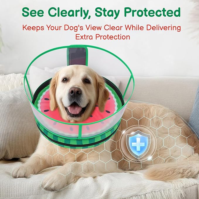 Sponge Dog Cone After Surgery, No Inflation Required Dog Donut Collar to Stop Licking, Inflatable Cone Alternatives for Medium Pets, Soft Recovery Collar with Protective Shield (Watermelon, M)