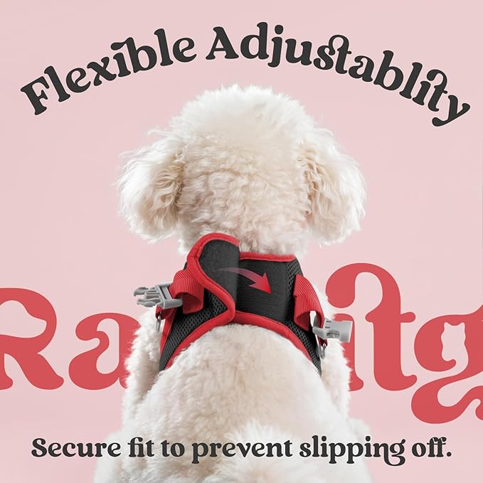 rabbitgoo Dog Harness Small Sized and Leash Set, Step-in Breathable Pet Harness, Soft Walking Reflective Puppy Vest for Small Dogs, Black & Red, L
