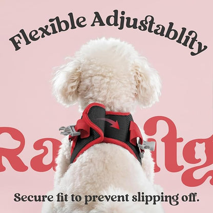 rabbitgoo Dog Harness Small Sized and Leash Set, Step-in Breathable Pet Harness, Soft Walking Reflective Puppy Vest for Small Dogs, Black & Red, L