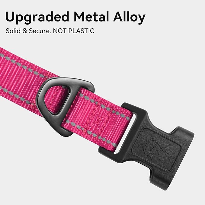 Joytale Reflective Dog Collar, Soft Neoprene Padded, Metal D-Ring, Nylon Pet Collar Adjustable for Small Dogs, Hotpink, S