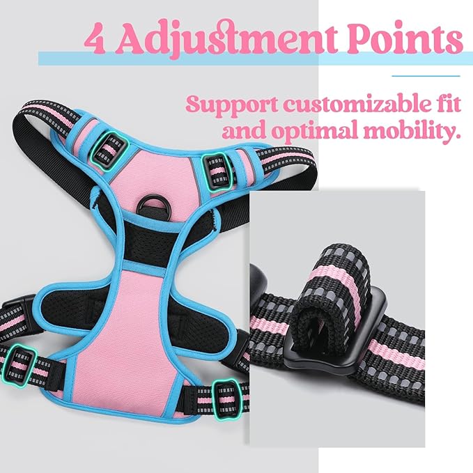 rabbitgoo Dog Harness No Pull with 2 Leash Clips, Adjustable Soft Padded, Reflective Oxford No Choke Pet Vest with Easy Control Handle for Small Dogs, Pink & Blue, S