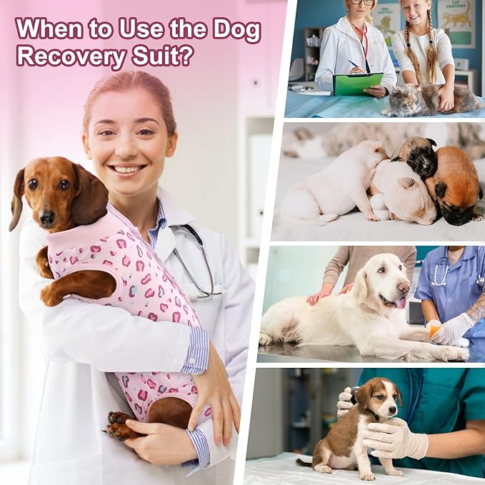 SAWMONG 2 Pack Dog Surgery Recovery Suit, Leopard Recovery Suit for Dogs After Surgery, Soft Polyester Spay Surgical Suit Female Male, Dog Onesie Body Suit Substitute Cone Alternative,M