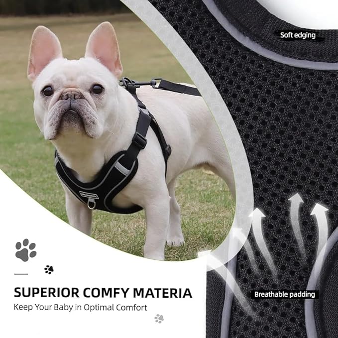 Dog Harness and Leash Set, Adjustable Triangle, Reflective Adjustable Puppy Vest, No Pull Soft Mesh Harness for Small, Medium Dogs, Cats (Black, L)