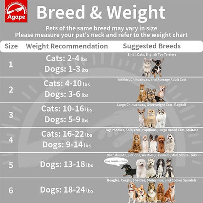 Agape Soft Dog Cone for Small Dogs & Cats (Gray (Small Dogs Cone), 2 (Neck:6.5"-8.5"))