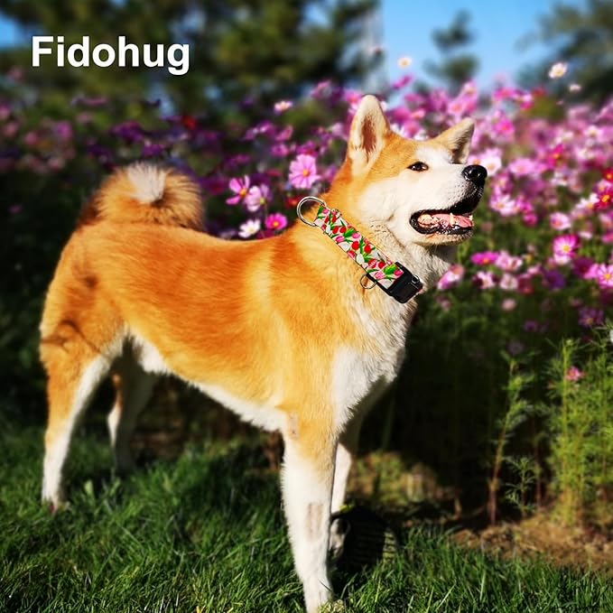 Martingale Collar for Dogs with Buckle Floral No Pull Adjustable Nylon Limited Slip Training Dog Collars (Pink Tulip, Medium)