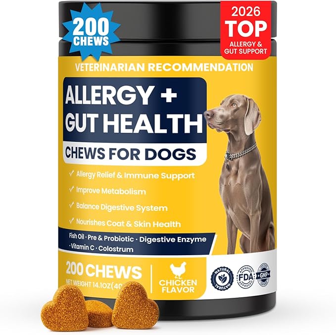 Dog Allergy Chews Probiotics for Dogs Yeast, Itchy Skin and Itchy Ears Itch Relief Immune Pre Probiotic Chews for Pet Digestive Health Anti Itch