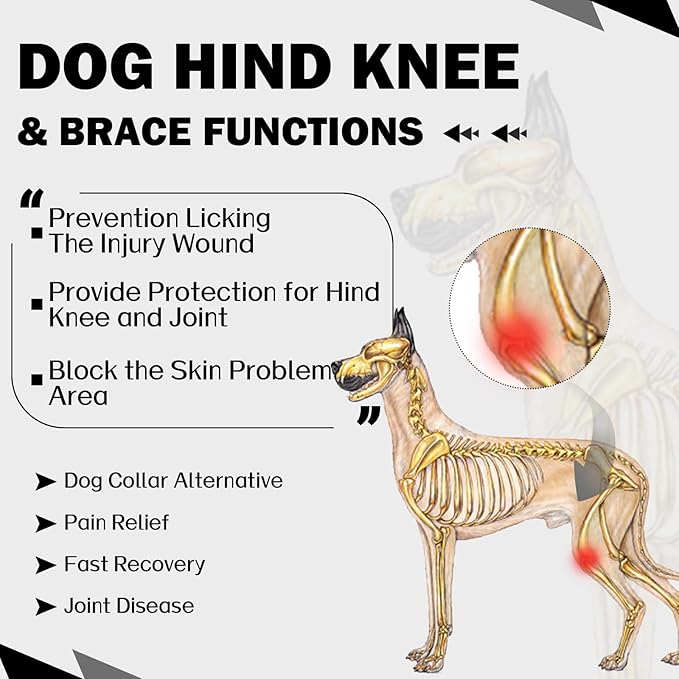 ROZKITCH Dog Pants to Prevent Licking for Rear Right Left Leg, Adjustable Pet Prevent Licking Wound Elbow Protector, Dog Cone Collar Alternative for Sprain ACL CCL Arthritis Joint Care Black M