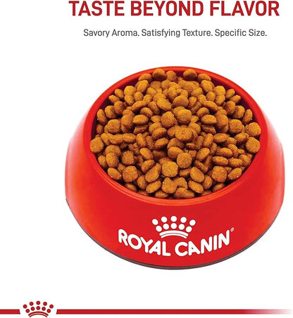 Royal Canin Breed Health Nutrition Miniature Schnauzer Puppy Dry Dog Food, 2.5 lb Bag