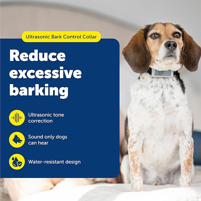 PetSafe Ultrasonic Bark Control Collar - Gentle No Shock Bark Training - Lightweight Comfortable Design - Water Resistant Dog Collar - Humane
