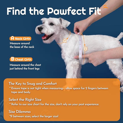 Eagloo Small Dog Harness and Leash Set, Step in Puppy Vest with Breathable Soft Mesh, Walking Reflective Pet Harness for Extra Small Dogs, Blue, XXS