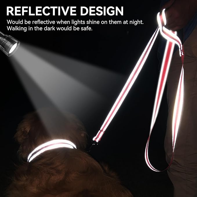 Joytale Dog Leash, 6 FT Double-Sided Reflective, Padded Handle Nylon Heavy Duty Leashes for Small Dogs Walking, Neon Pink