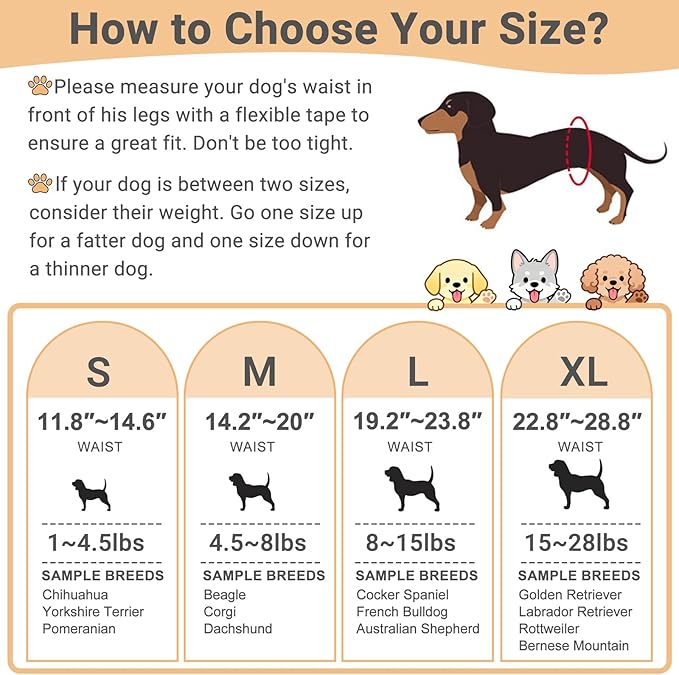 Mkono Male Dog Belly Band Wraps Washable Dog Diapers Male for Small and Medium Dogs (3 Pack), Waist 14.2 Inches to 20 Inches