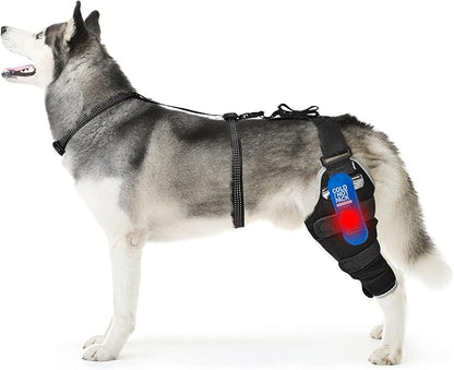 Dog Leg Brace for Back Leg – Comfortable Adjustable Knee Brace for ACL Injury and Luxating Patella, Includes Removable Hot/Cold Compress Gel Packs for Joint Recovery, Left Leg, Size L