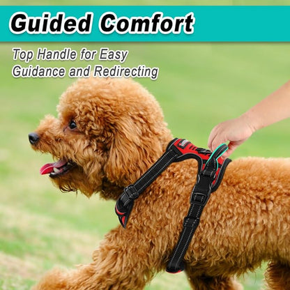 BARKBAY Dog Harness No Pull for Small Dogs - Adjustable, Reflective, Comfortable, No Choke, Heavy-Duty - Perfect for Outdoor Training, Walking, and Hiking - Strong & Durable - XS & Red