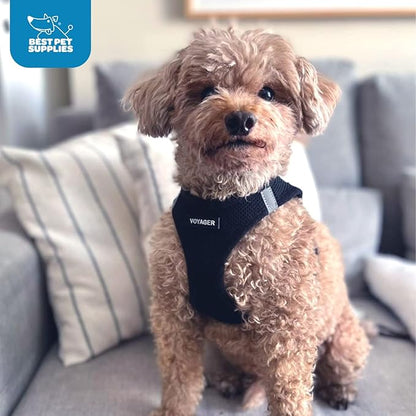 Best Pet Supplies - All Weather Mesh / Plush, Reflective, No Pull Harness for Small, Medium Dogs, Cats - Secure with Hook & Loop Fastener, Buckle, Double D-Rings - Black/Black Trim, XS