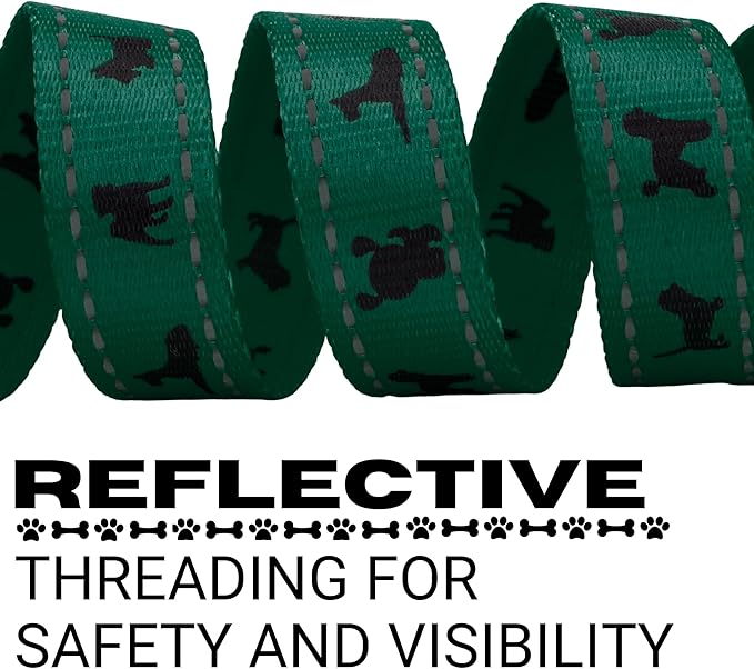 EcoBark Dog Leash - Soft & Reflective Comfort Leash with Padded Handle - Strong Durable Heavy Duty - Training and Pulling for Small, Medium or Large Dogs (Forest Green)