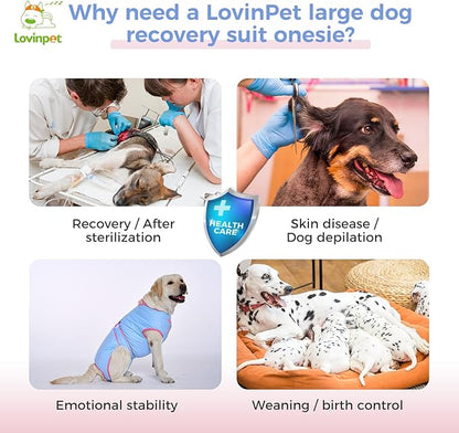 LovinPet Dog Recovery Suit for Large Medium Dogs - Bodysuit Onesie for Shedding Skin Disease Pet Pajamas Dog Anti Licking for Abdominal Wound After Surgery,Elephant,Blue,XXL