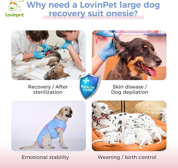 LovinPet Dog Recovery Suit for Large Medium Dogs - Bodysuit Onesie for Shedding Skin Disease Pet Pajamas Dog Anti Licking for Abdominal Wound After Surgery,Elephant,Blue,M