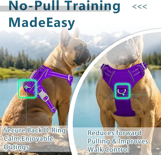 BARKBAY Dog Harness No Pull Oxford with ID Tag Pocket - Heavy Duty, Reflective, Easy Control for Large Dogs(Purple Oxford,M)