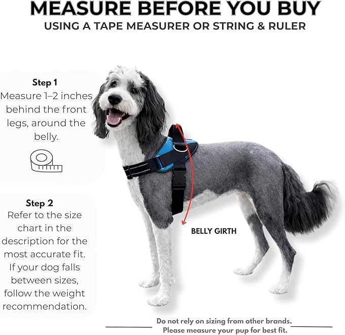 ShawnCo Essential Dog Harness, No-Pull Pet Vest with 3 Leash Clips, No Choke, Reflective, Adjustable and Padded, for Easy Walking and Training for Small, Medium and Large Dogs (Arctic Camo, XS)