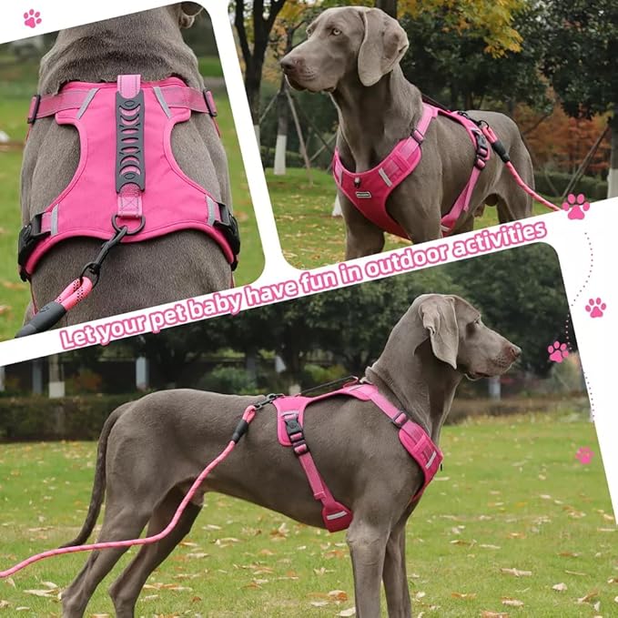 Dog Harness No Pull Adjustable Reflective,for Medium and Large Small Dog with Leash 59.06in (Fuscia, XL)