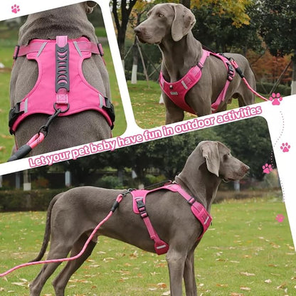 Dog Harness No Pull Adjustable Reflective,for Medium and Large Small Dog with Leash 59.06in (Fuscia, XS)