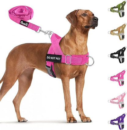 SlowTon No Pull Dog Harness - Heavy Duty Dog Harness and Leash Set for Medium Large Dogs, Reflective Tactical Harness with Soft Padded and Front Clip for Easy Walk and Training (Fuchsia XL)
