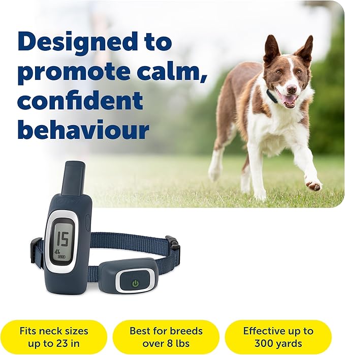PetSafe 300 Yard Remote Training Collar – Smaller Version for Small or Medium Dogs – Choose from Tone, Vibration, or 15 Levels of Static Stimulation – Medium Range Option for Training Off Leash Dogs